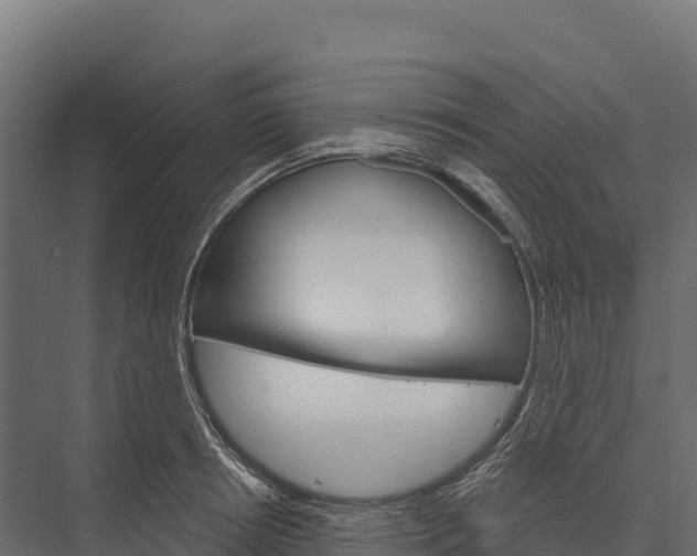 X0000076040850200610061442