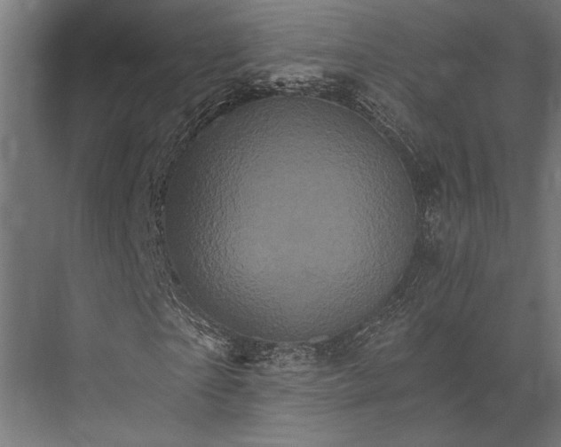 X0000076040865200610061441