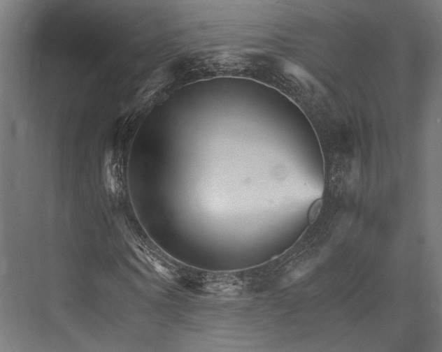 X0000076040866200610061441