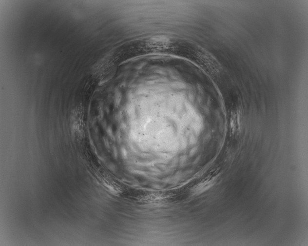 X0000076040867200610061441