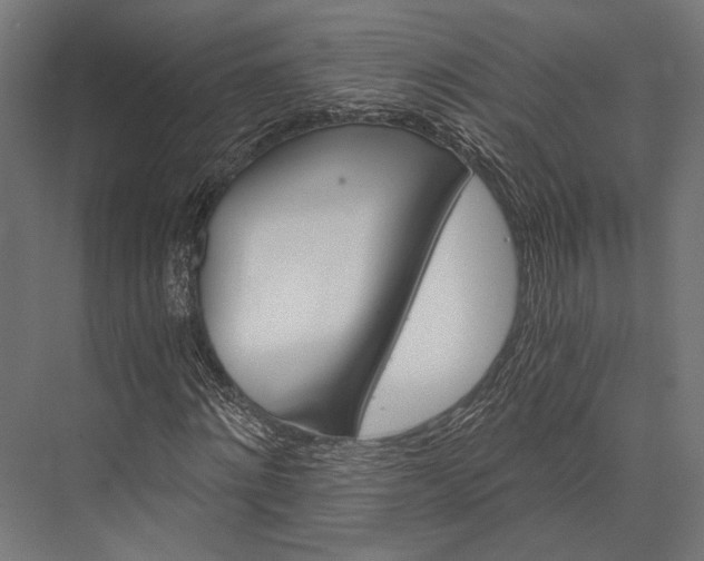 X0000076040868200610061441