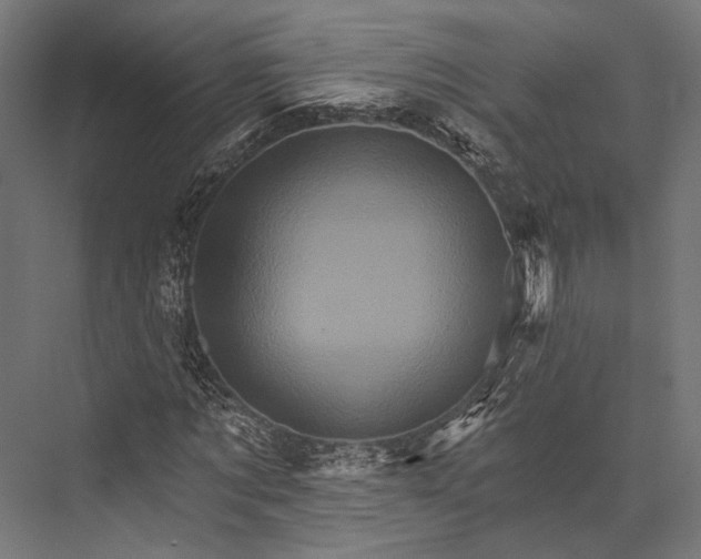 X0000076040869200610061441