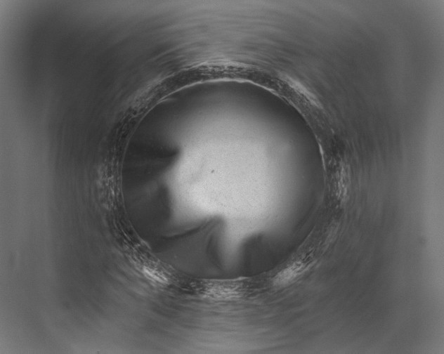 X0000076040870200610061441