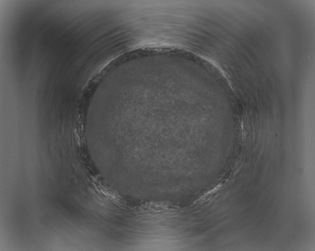 X0000076040871200610061441