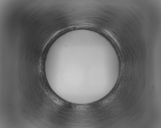 X0000076040875200610061441