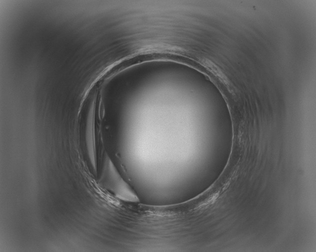 X0000076040877200610061441