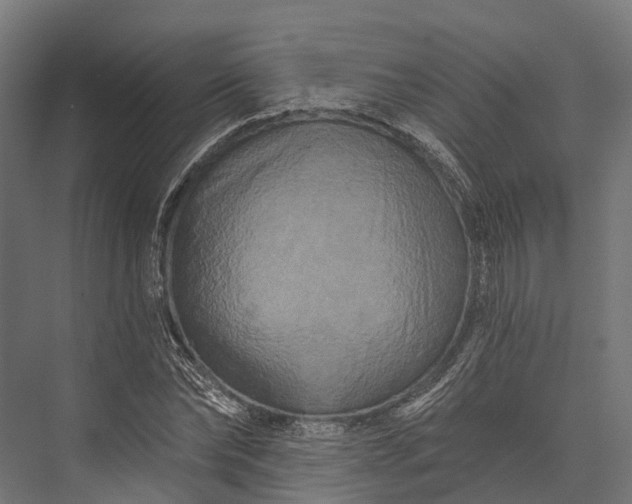 X0000076040878200610061441