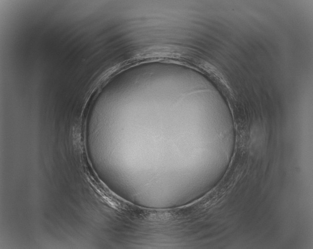 X0000076040882200610061441