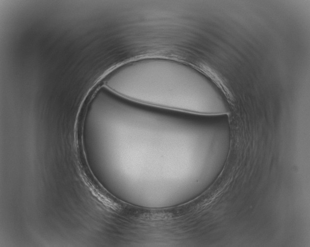 X0000076040884200610061441