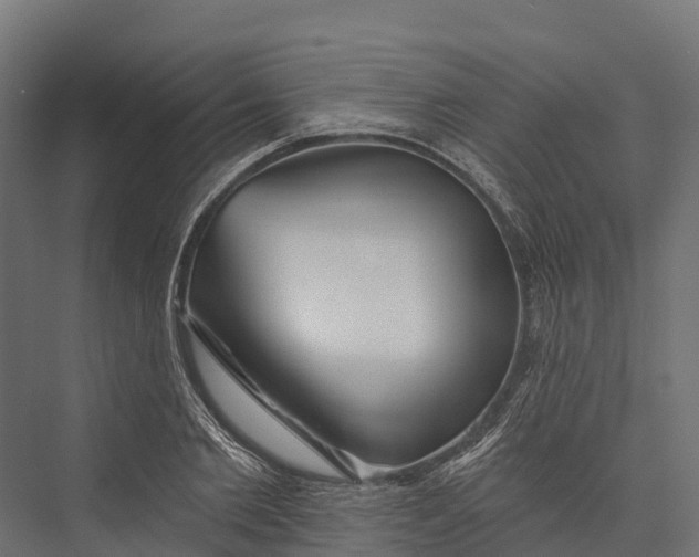X0000076040885200610061441