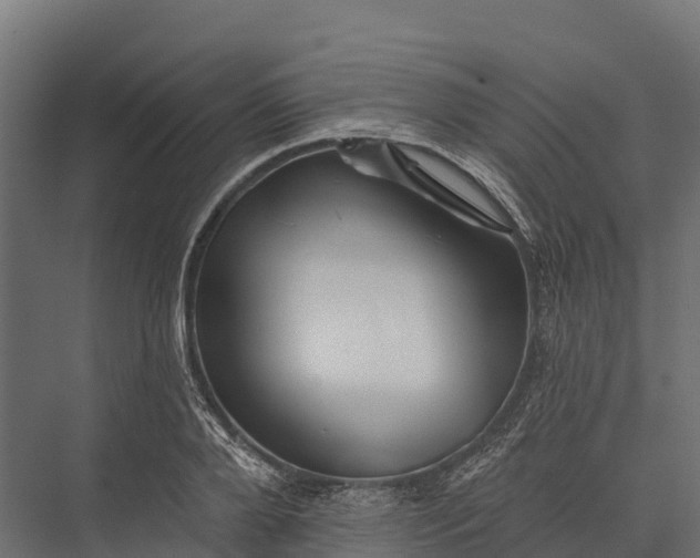X0000076040888200610061441