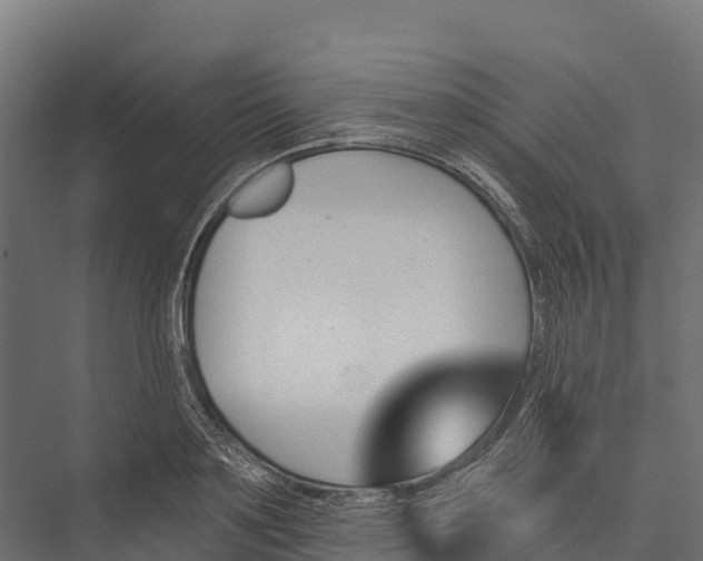 X0000076040891200610061441