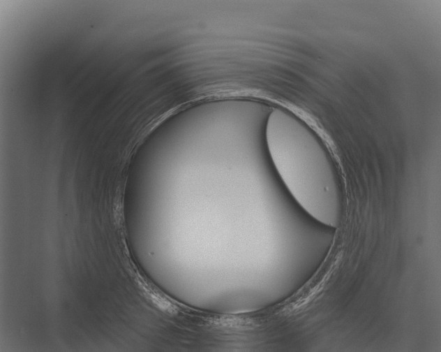 X0000076040897200610061441