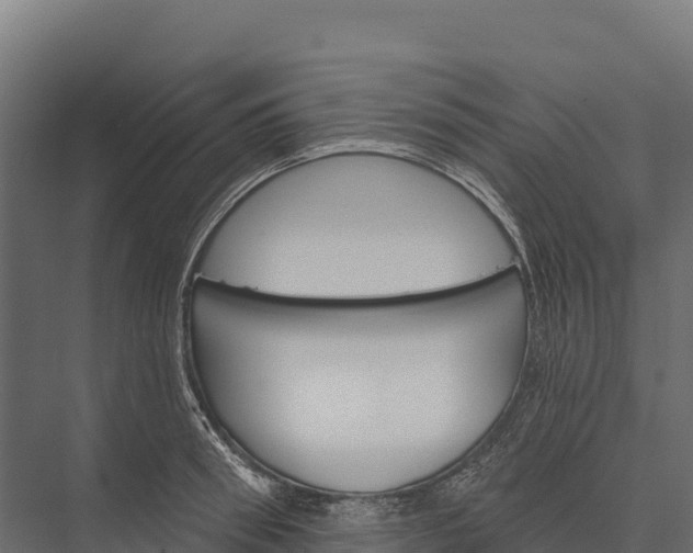X0000076040898200610061441