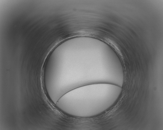 X0000076040899200610061441