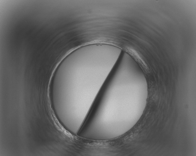 X0000076040900200610061441