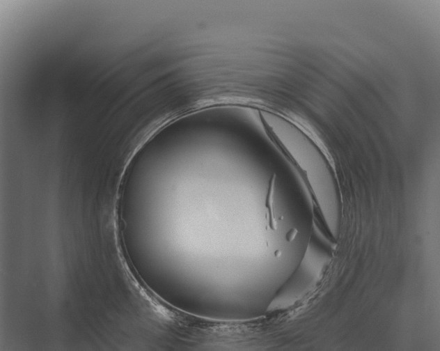 X0000076040906200610061441
