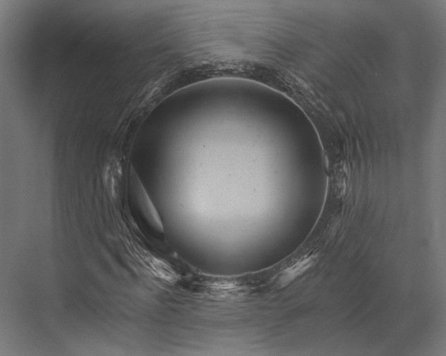 X0000076040916200610061440