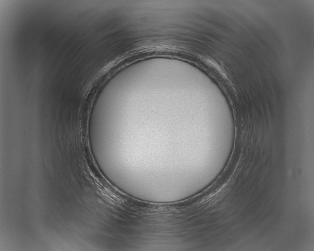 X0000076040922200610061440