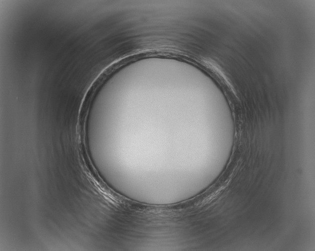 X0000076040924200610061440