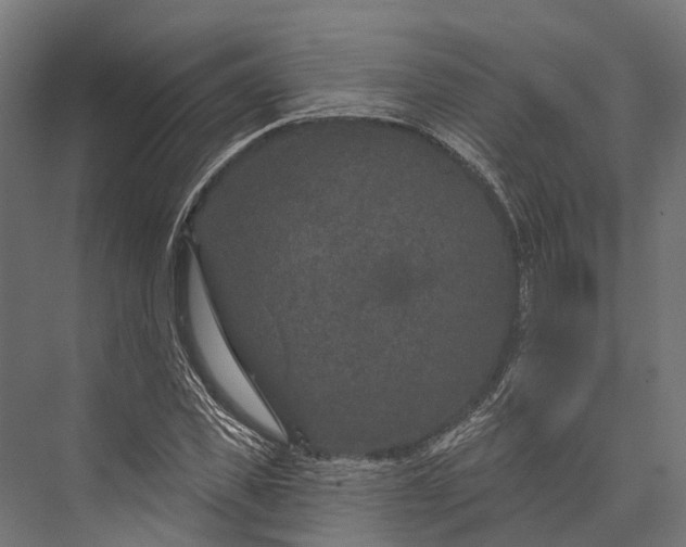 X0000076040925200610061440