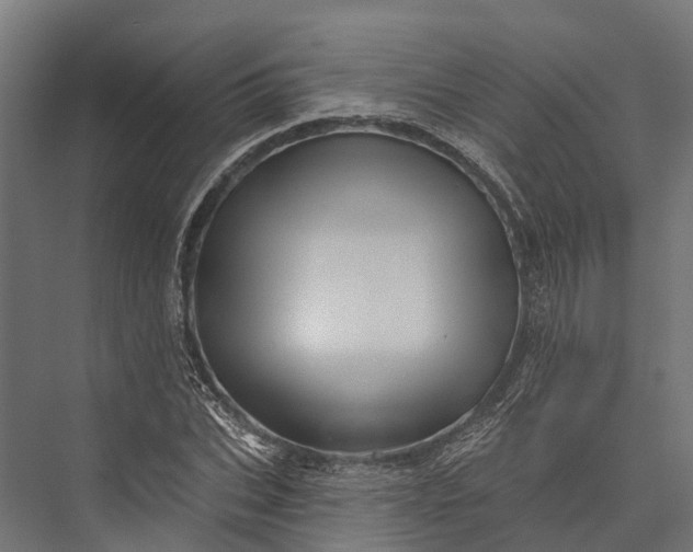 X0000076040927200610061440