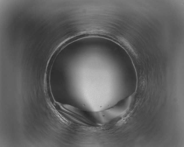 X0000076040932200610061440