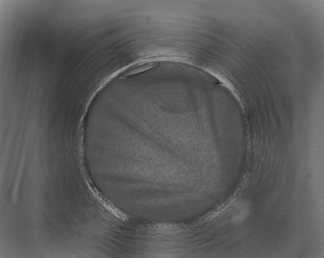 X0000076040933200610061440