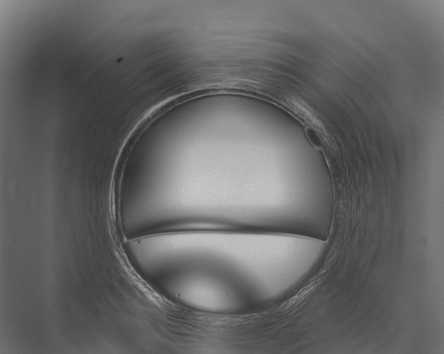 X0000076040940200610061440