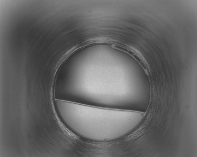 X0000076040946200610061440