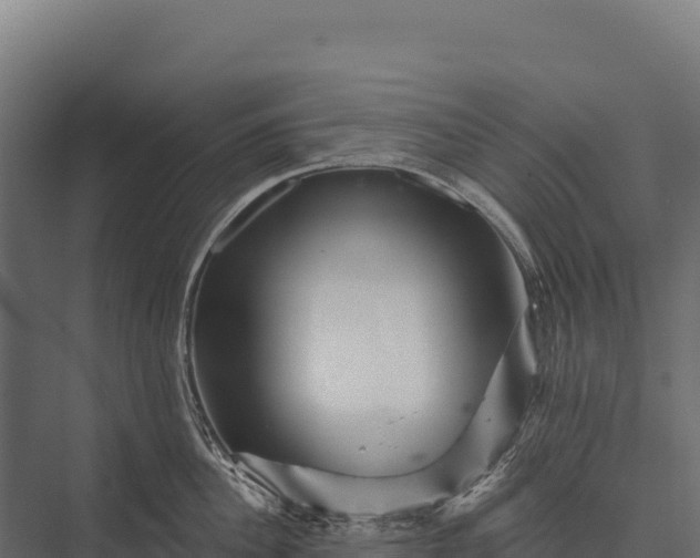 X0000076040956200610061441