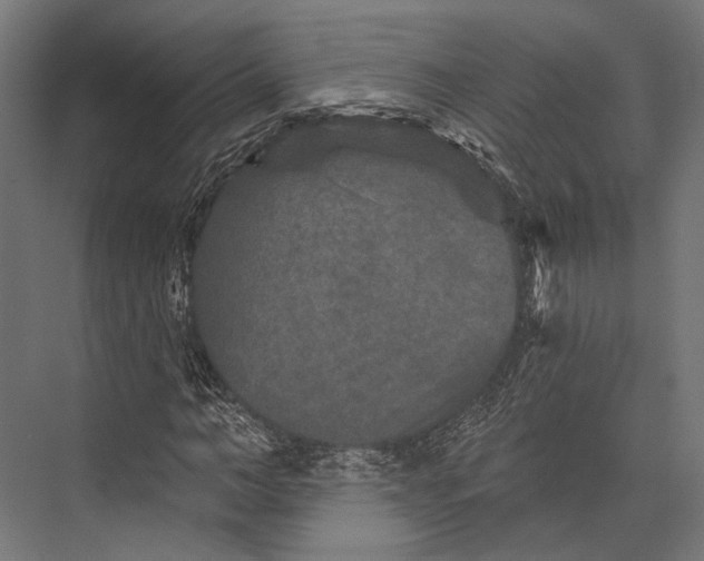 X0000076040966200610061440