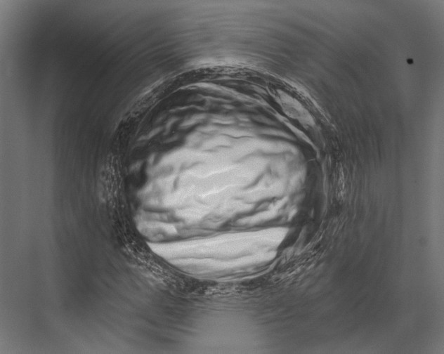 X0000076040967200610061440