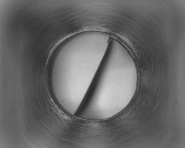 X0000076040971200610061440