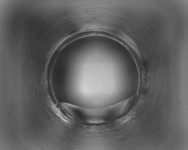X0000076040972200610061440
