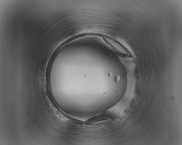 X0000076040980200610061439