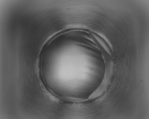 X0000076040983200610061439