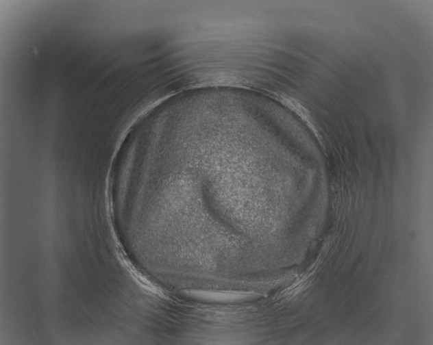 X0000076040987200610061439
