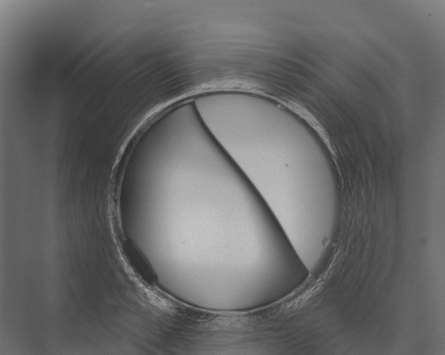 X0000076040989200610061439