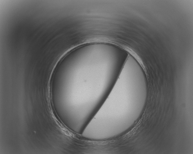 X0000076040996200610061439