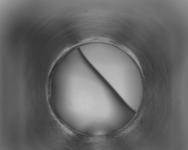 X0000076040997200610061439