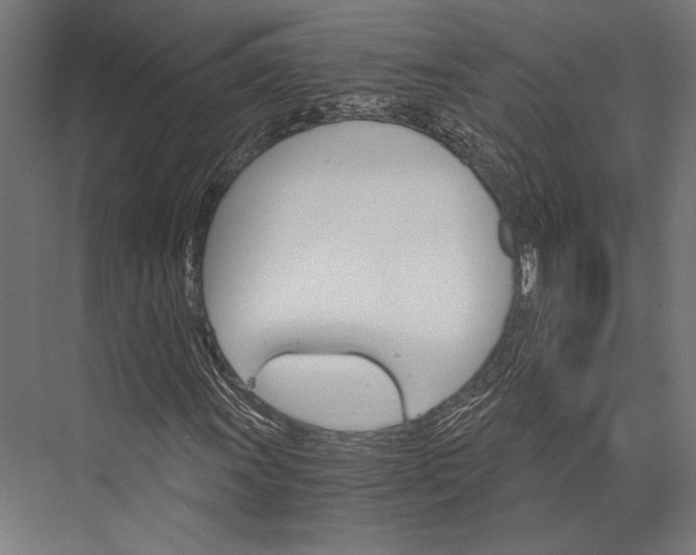 X0000076041011200610061438
