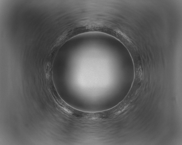 X0000076041012200610061438
