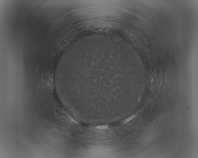 X0000076041013200610061438