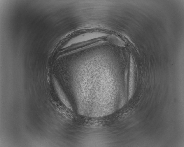 X0000076041016200610061438