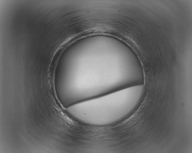 X0000076041018200610061438