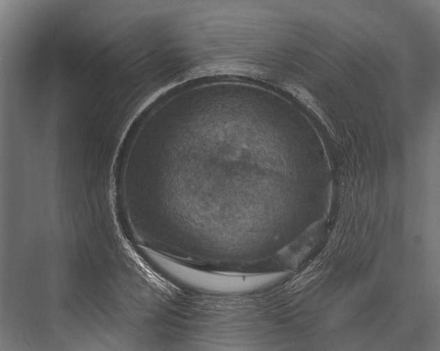 X0000076041024200610061438