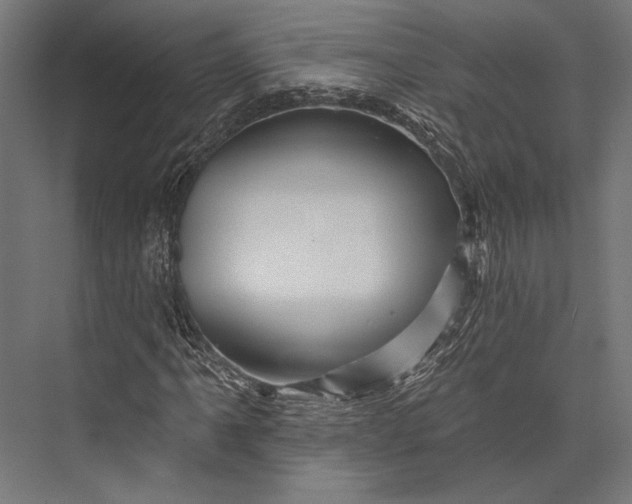 X0000076041061200610061438