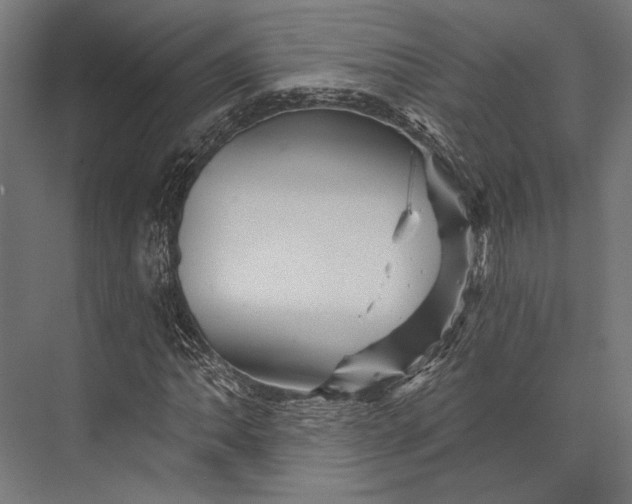 X0000076041062200610061438