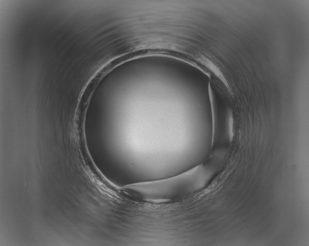 X0000076041068200610061438